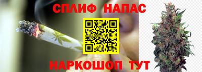 шишки Железноводск