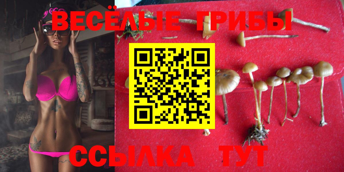 Псилоцибиновые грибы ЛСД Батайск
