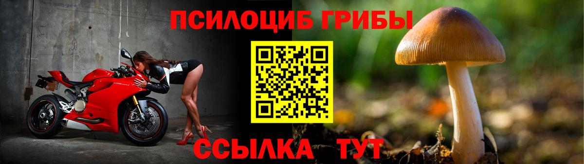 Батайск  Галлюциногенные грибы GOLDEN TEACHER  где купить наркотик  Вход с VPN  Галлюциногенные грибы GOLDEN TEACHER 